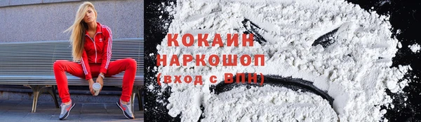 сатива Шали